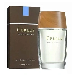 Cereus No.5