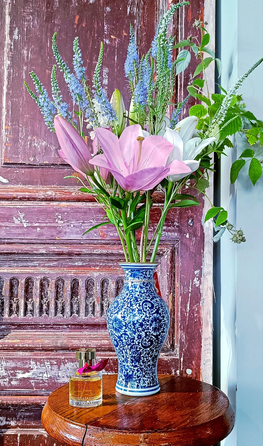 Teo Cabanel Early Roses