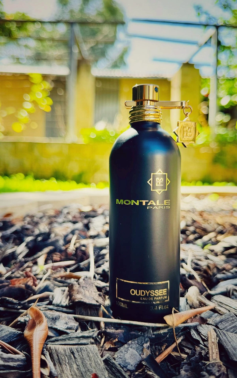 MONTALE Oudyssee MONTALE Oudyssee