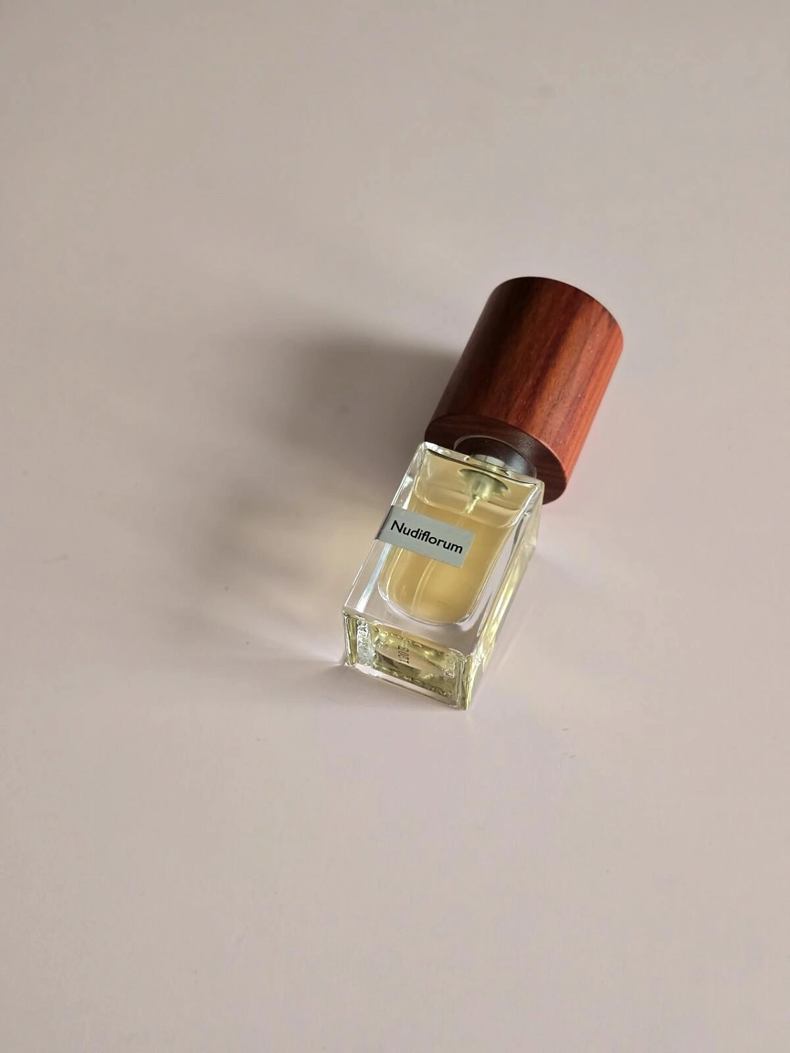 Nasomatto Nudiflorum