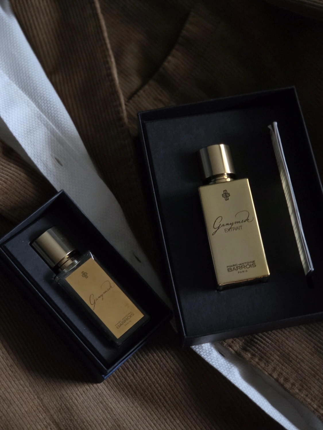 Marc-Antoine Barrois Ganymede Extrait