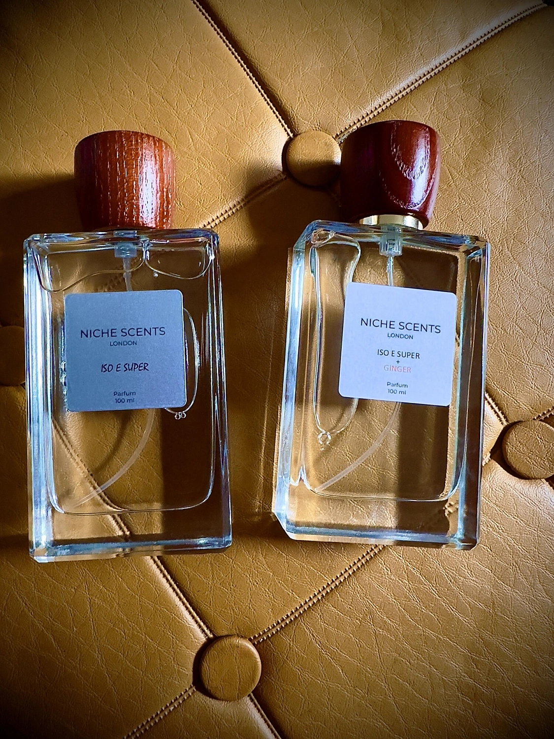 Escentric Molecules Molecule 01 + Ginger