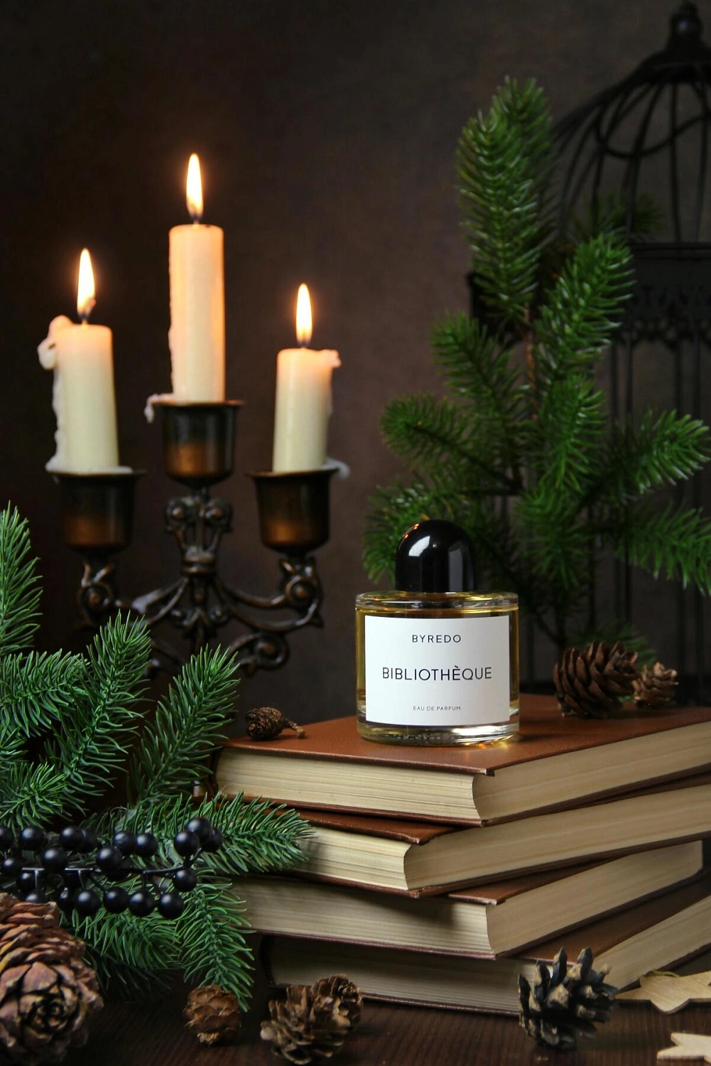 BYREDO Bibliothèque