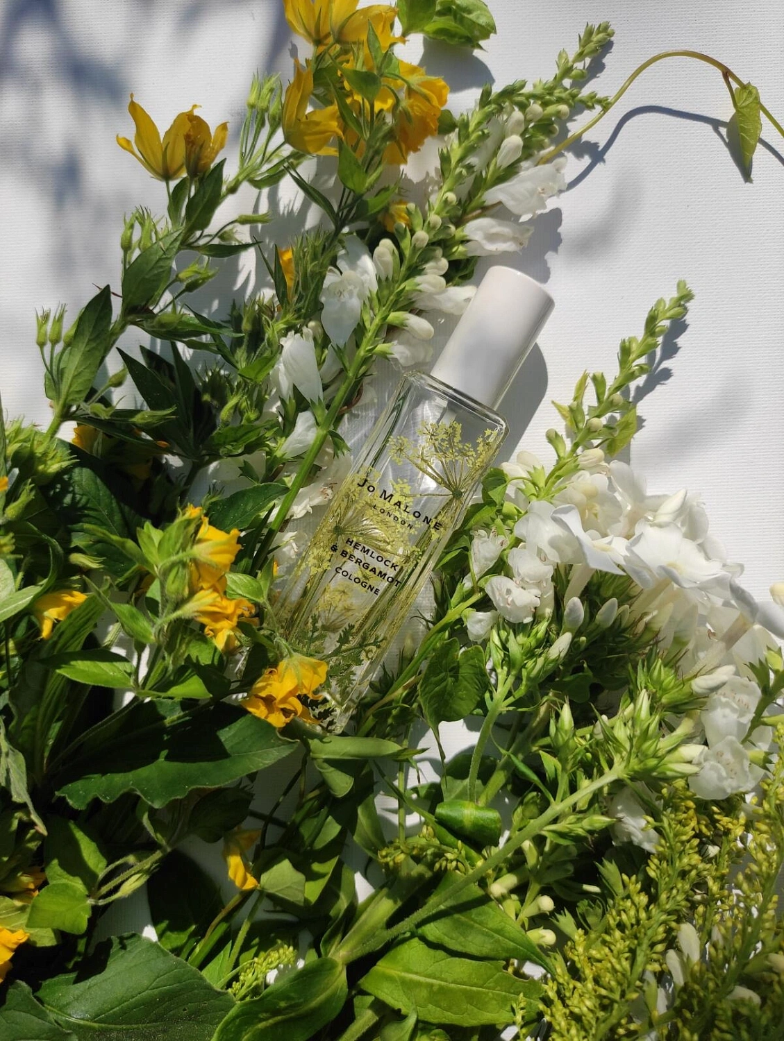 Jo Malone Hemlock & Bergamot