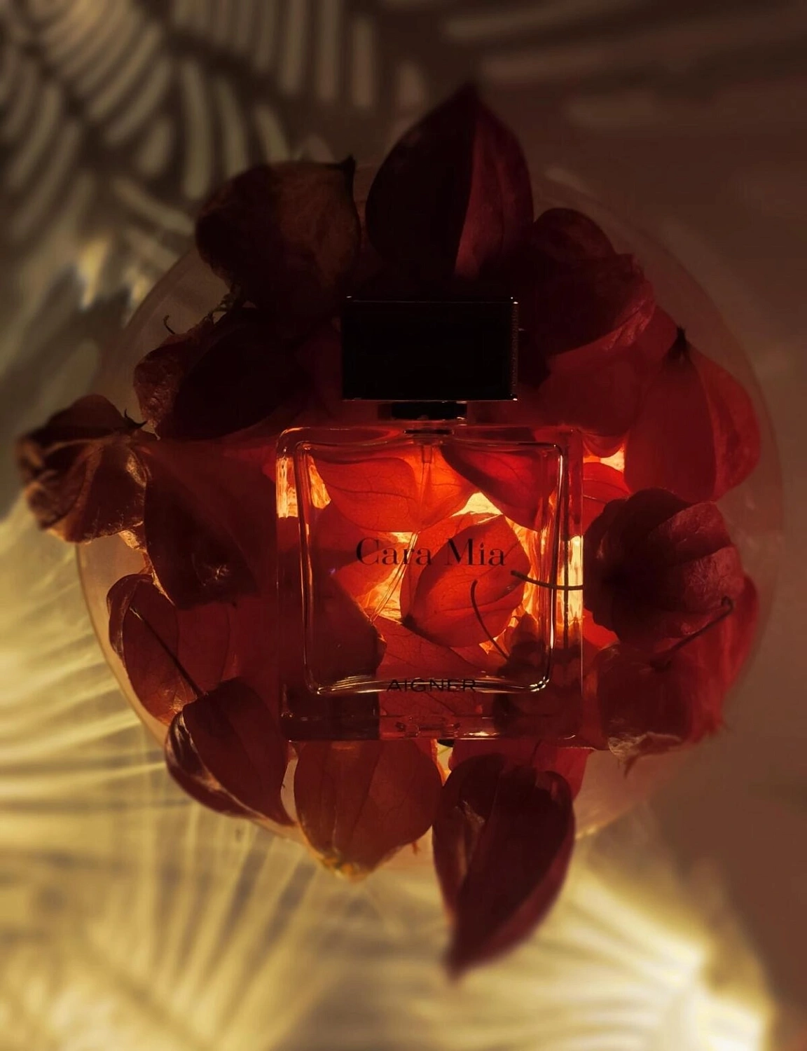 Aigner Cara Mia Aigner Cara Mia