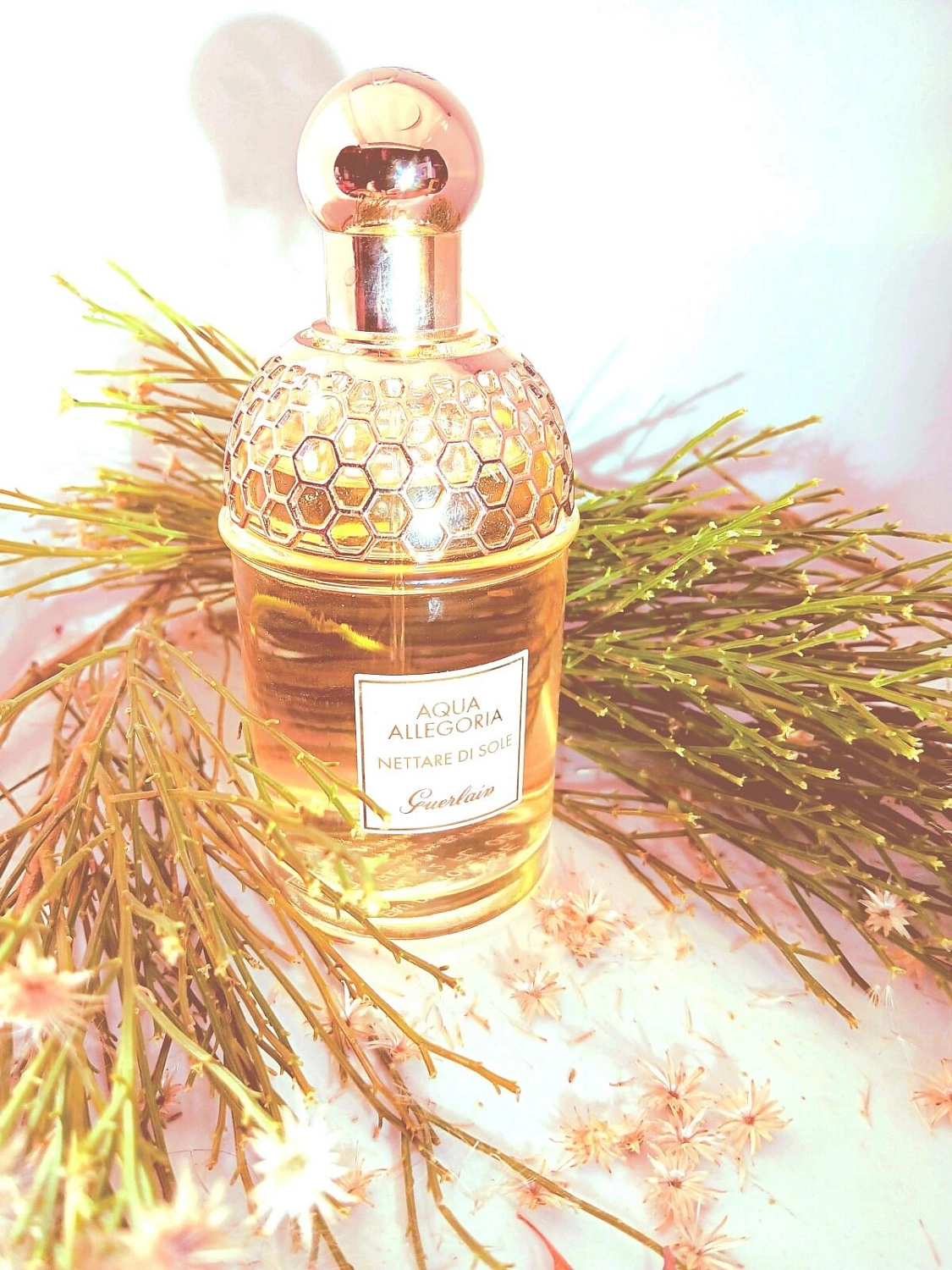 Guerlain Aqua Allegoria Nettare di Sole