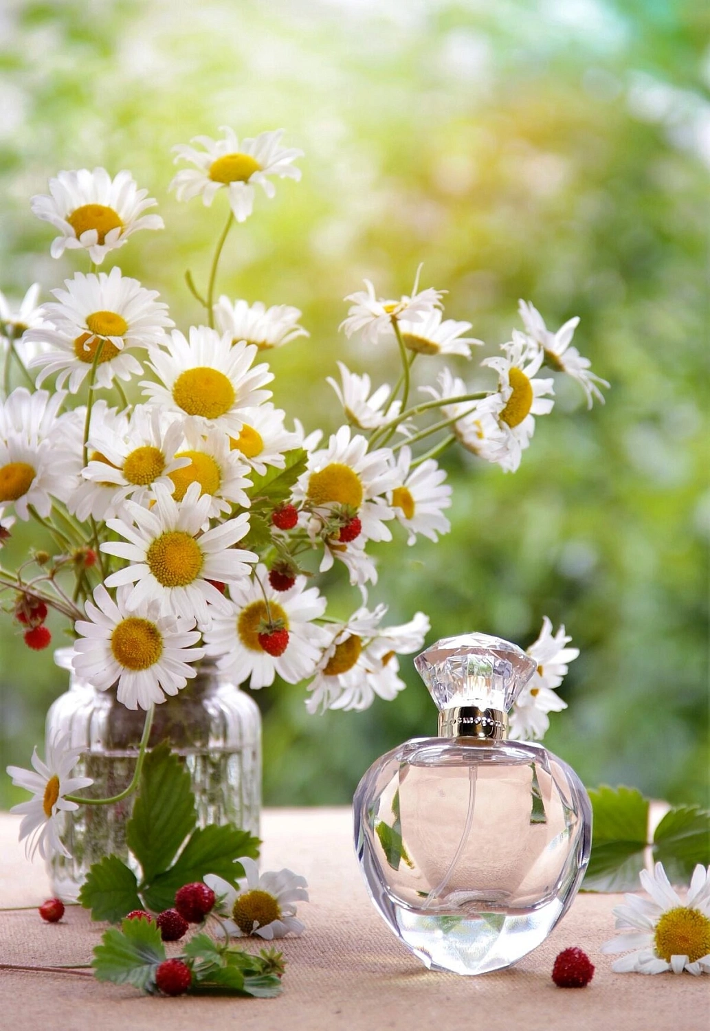 Cosmogony Butterfly Nebula