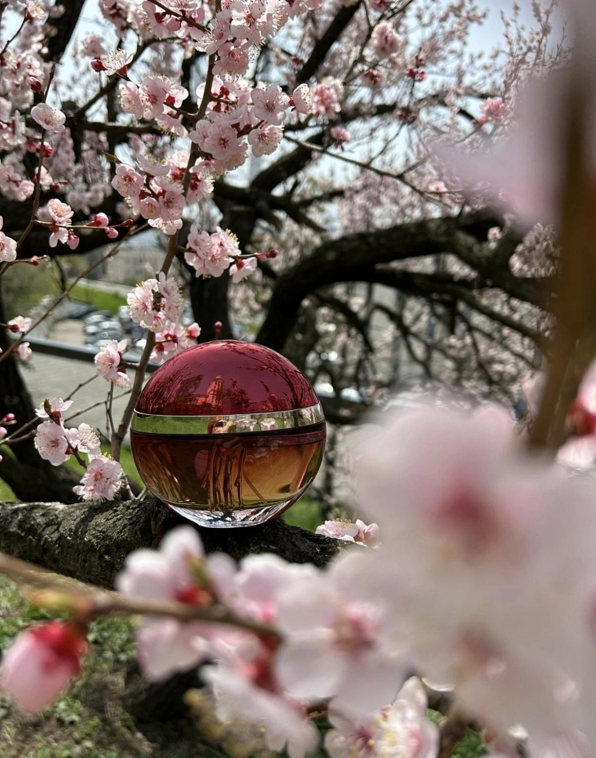 Cerruti 1881 1881 Collection