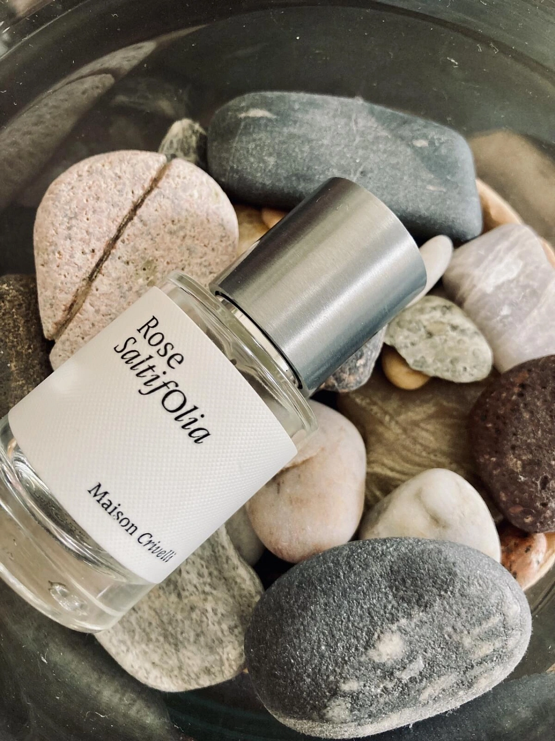 Maison Crivelli Rose SaltifOlia