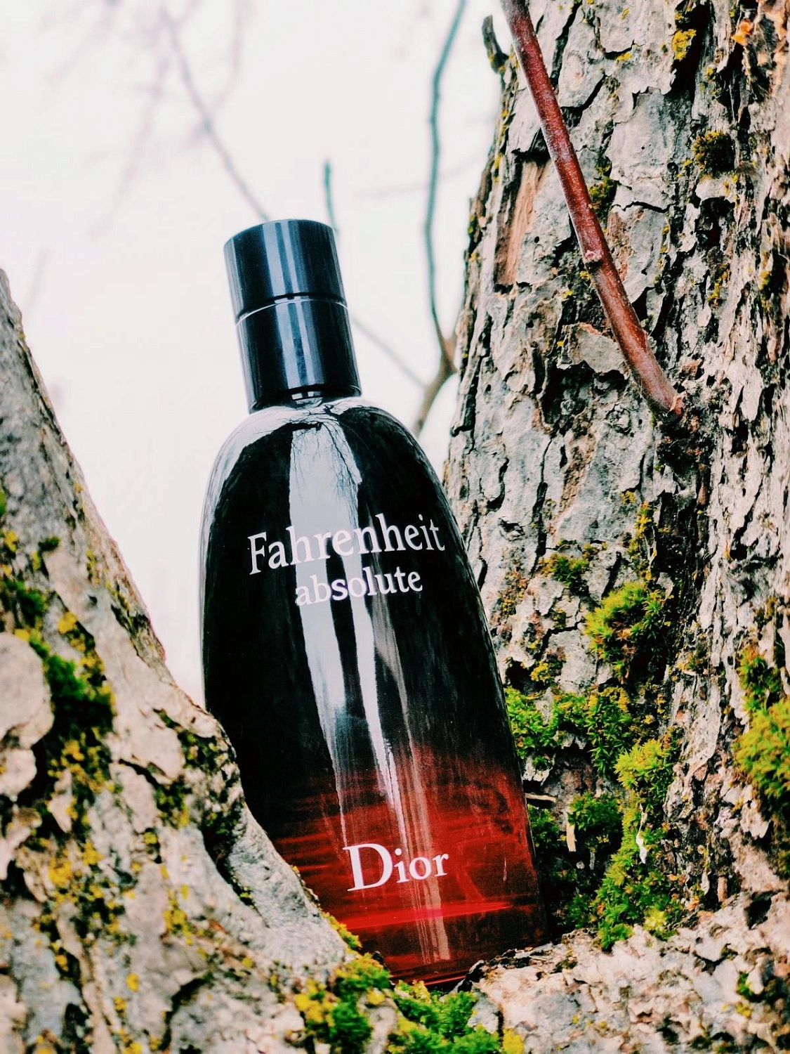 Christian Dior Fahrenheit Absolute