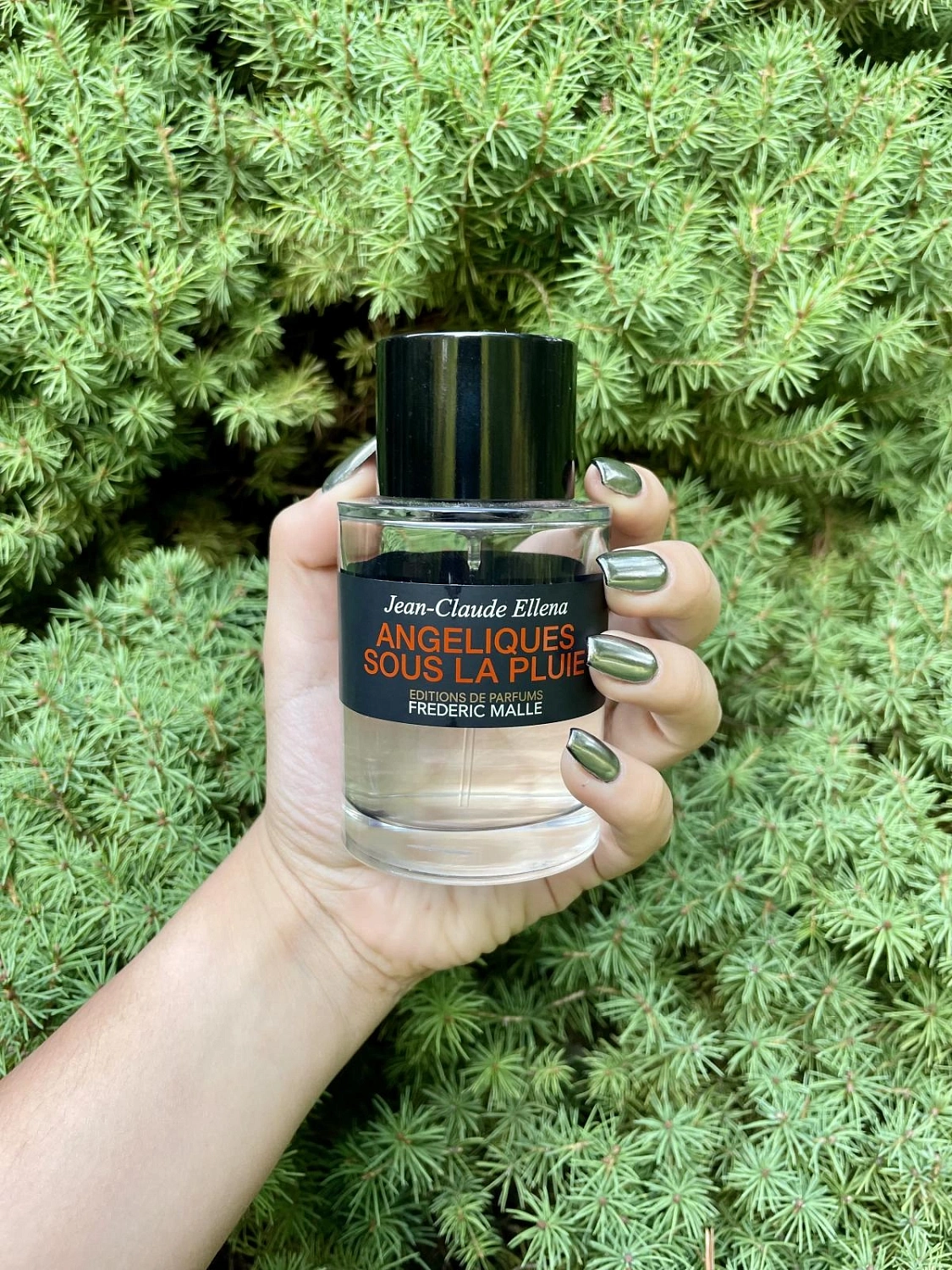 Frederic Malle Angeliques Sous la Pluie