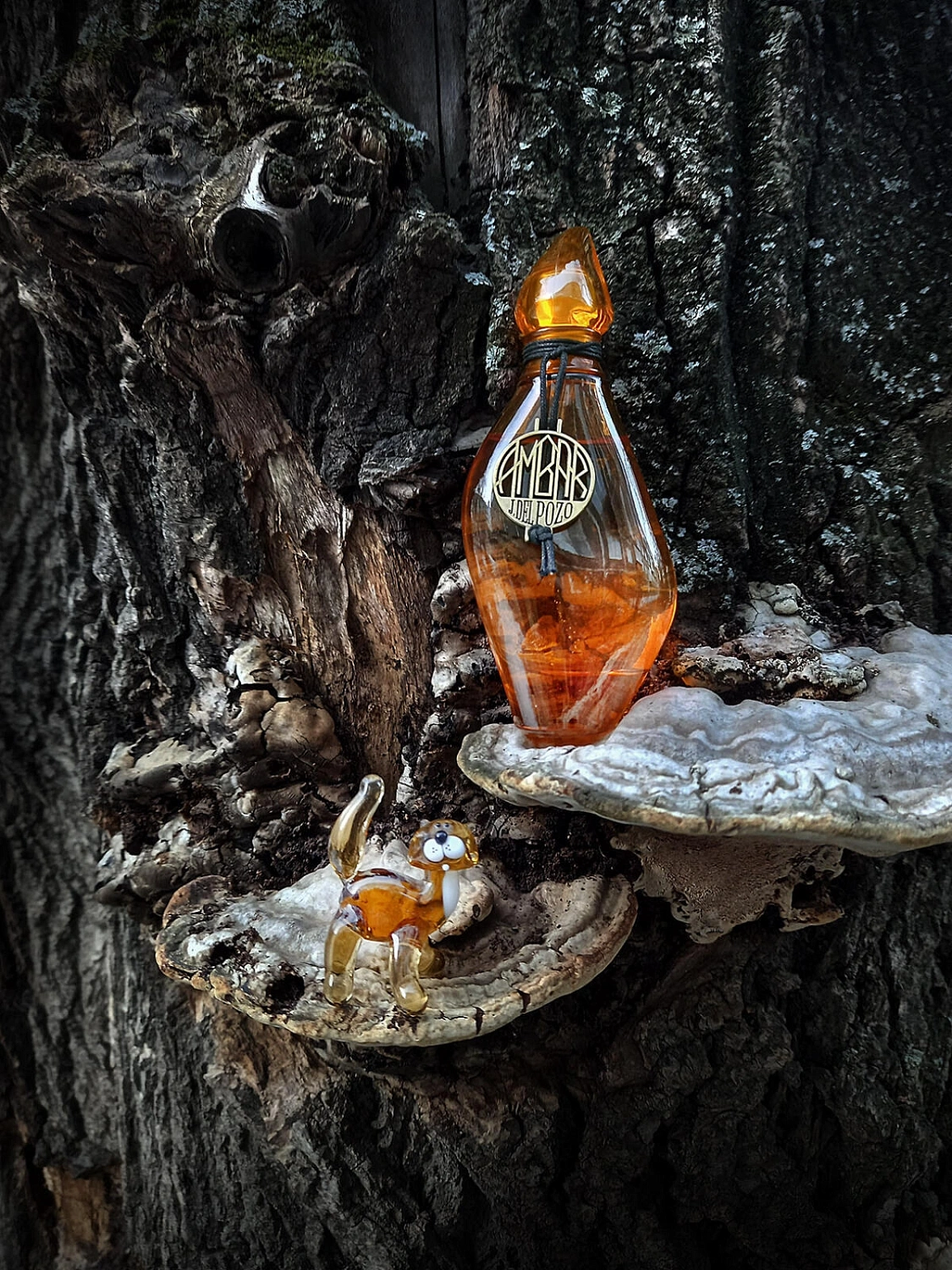 Jesus Del Pozo Ambar