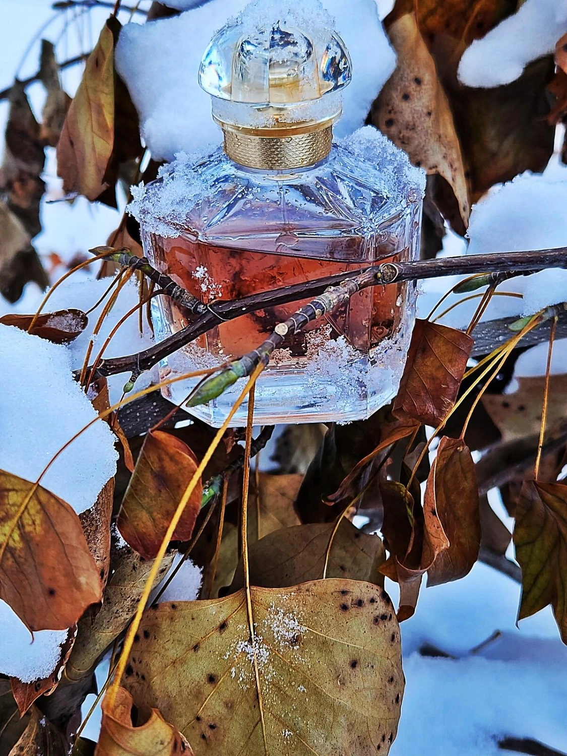 Mon Guerlain Eau de Parfum Intense