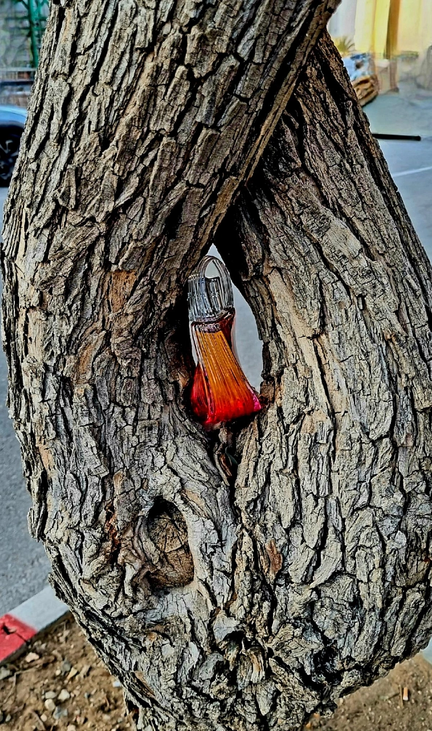 Madly Kenzo! Eau de Toilette