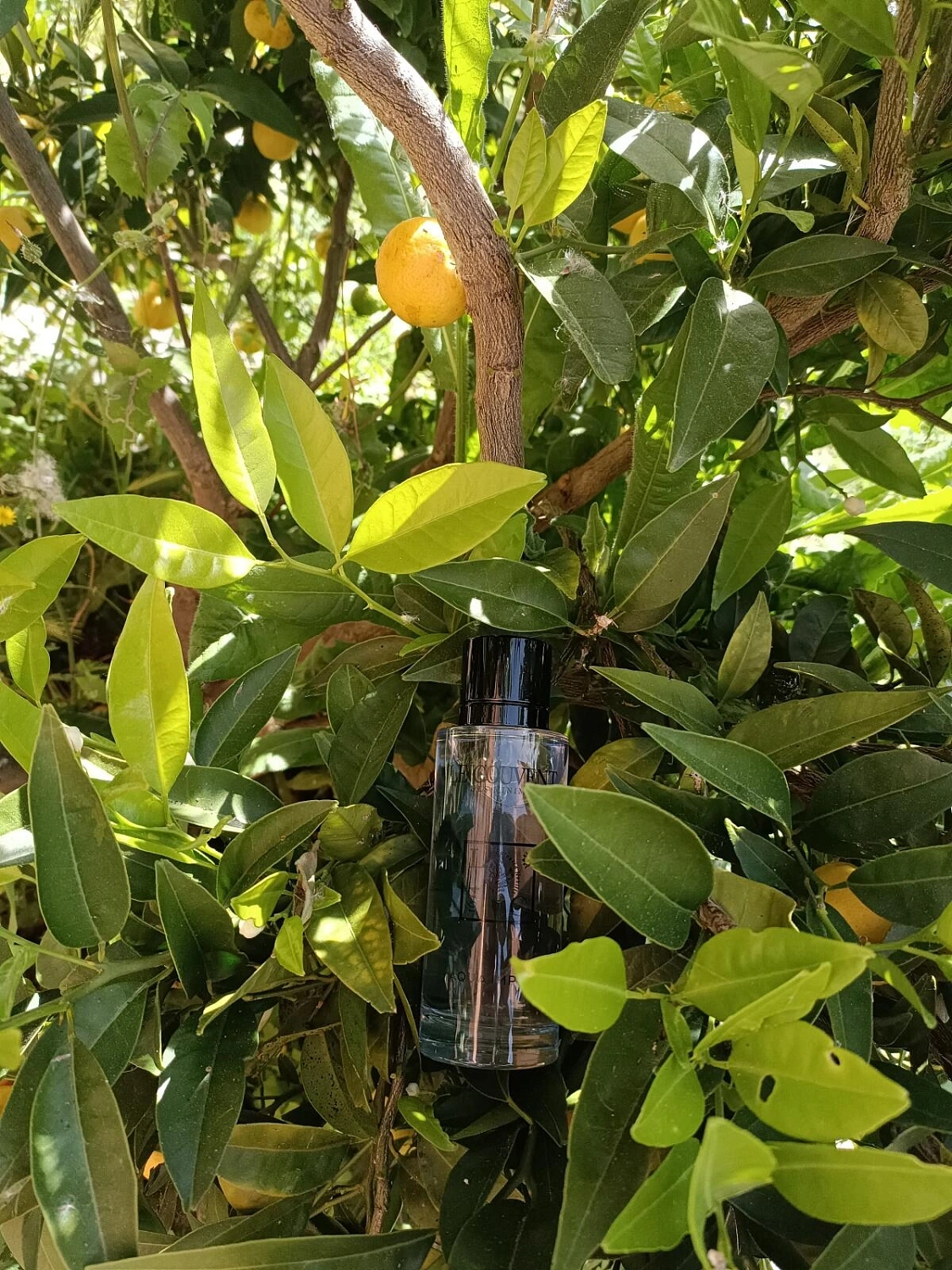 Le Couvent Maison de Parfum Aqua Imperi Le Couvent Maison de Parfum Aqua Imperi