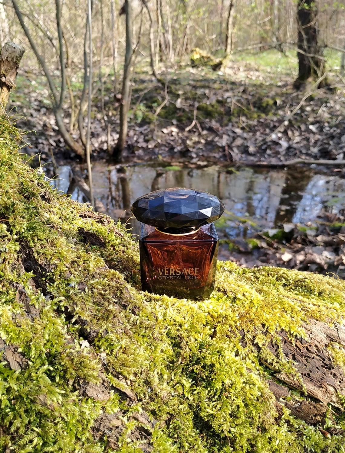 Versace Crystal Noir