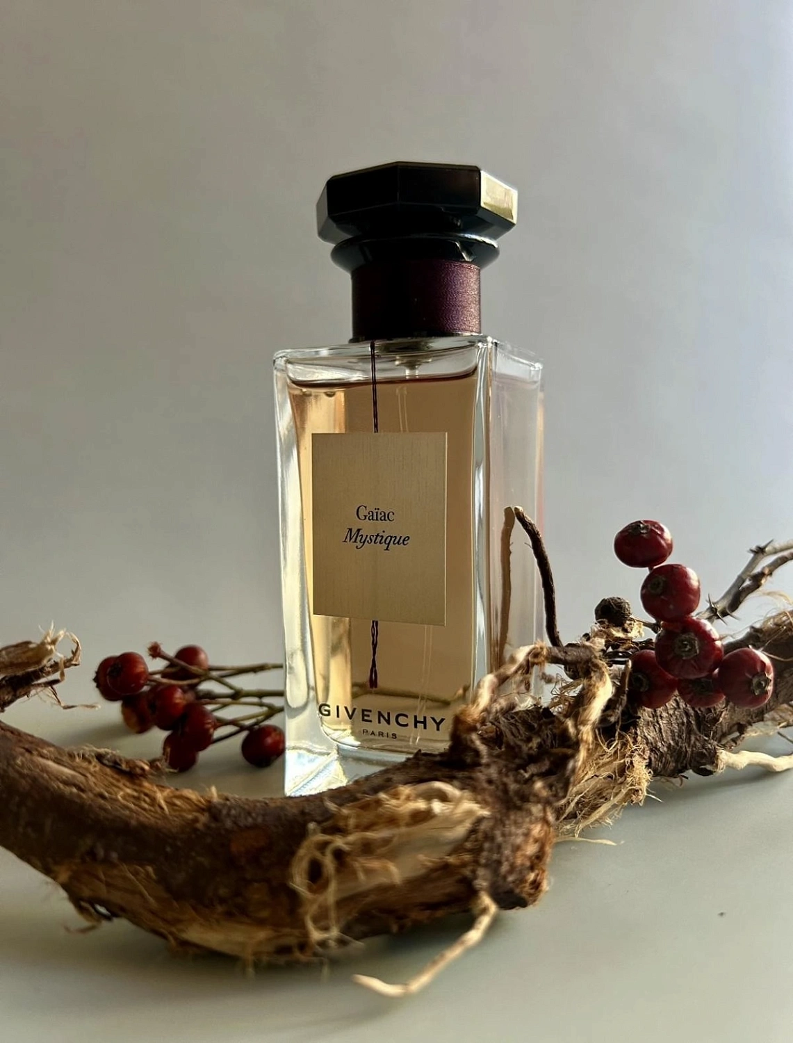 GIVENCHY Gaiac Mystique GIVENCHY Gaiac Mystique