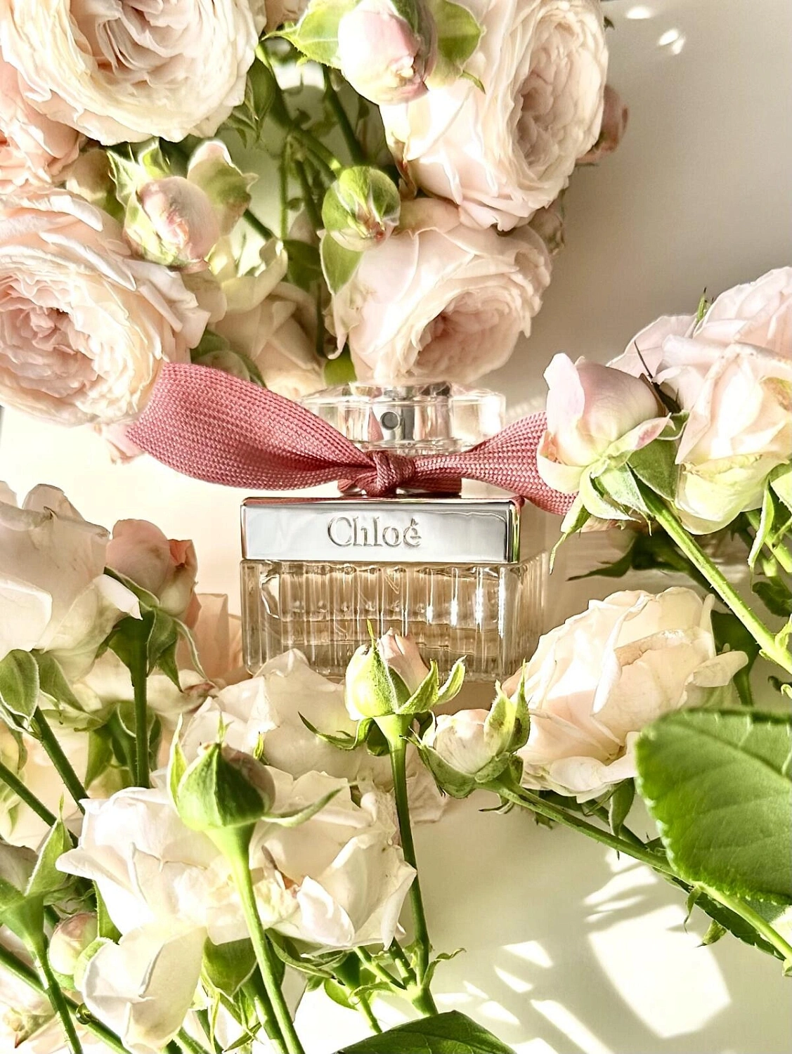 Roses De Chloe