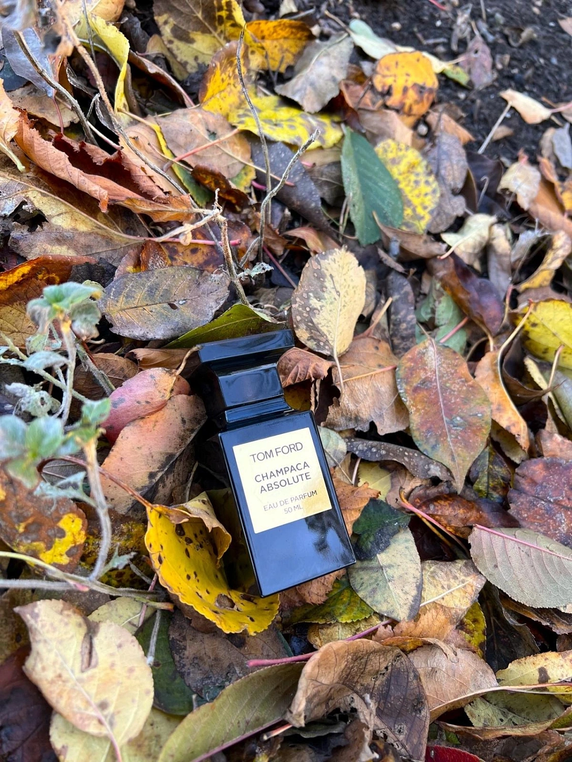Tom Ford Champaca Absolute