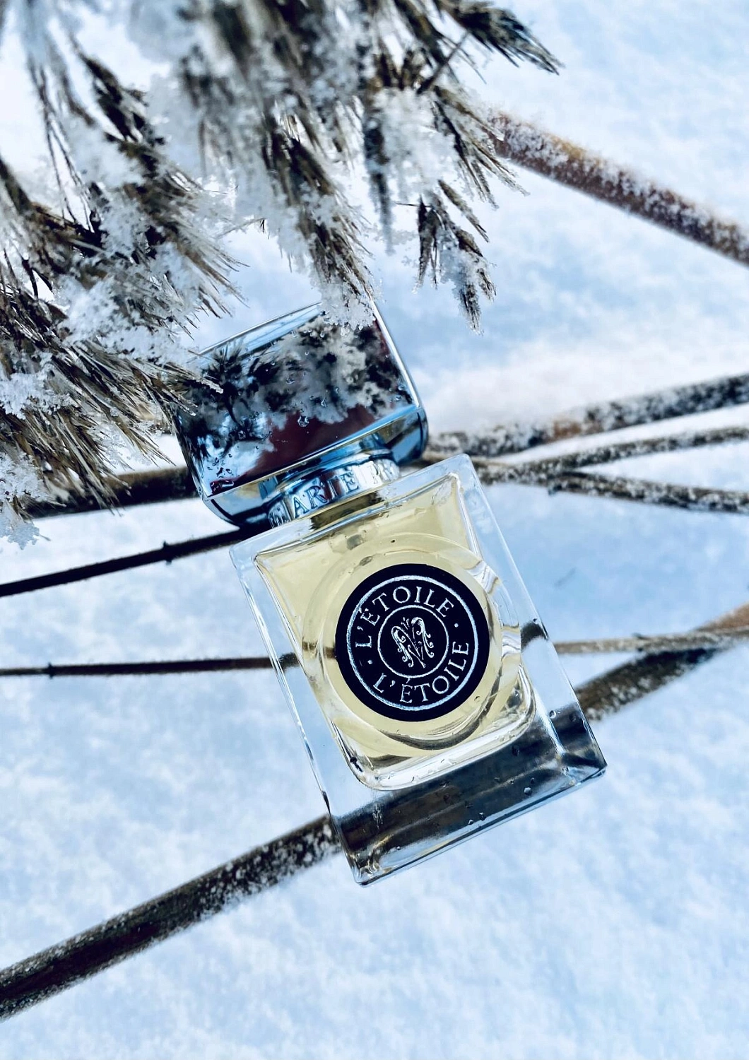 Arte Profumi L'Etoile Arte Profumi L'Etoile