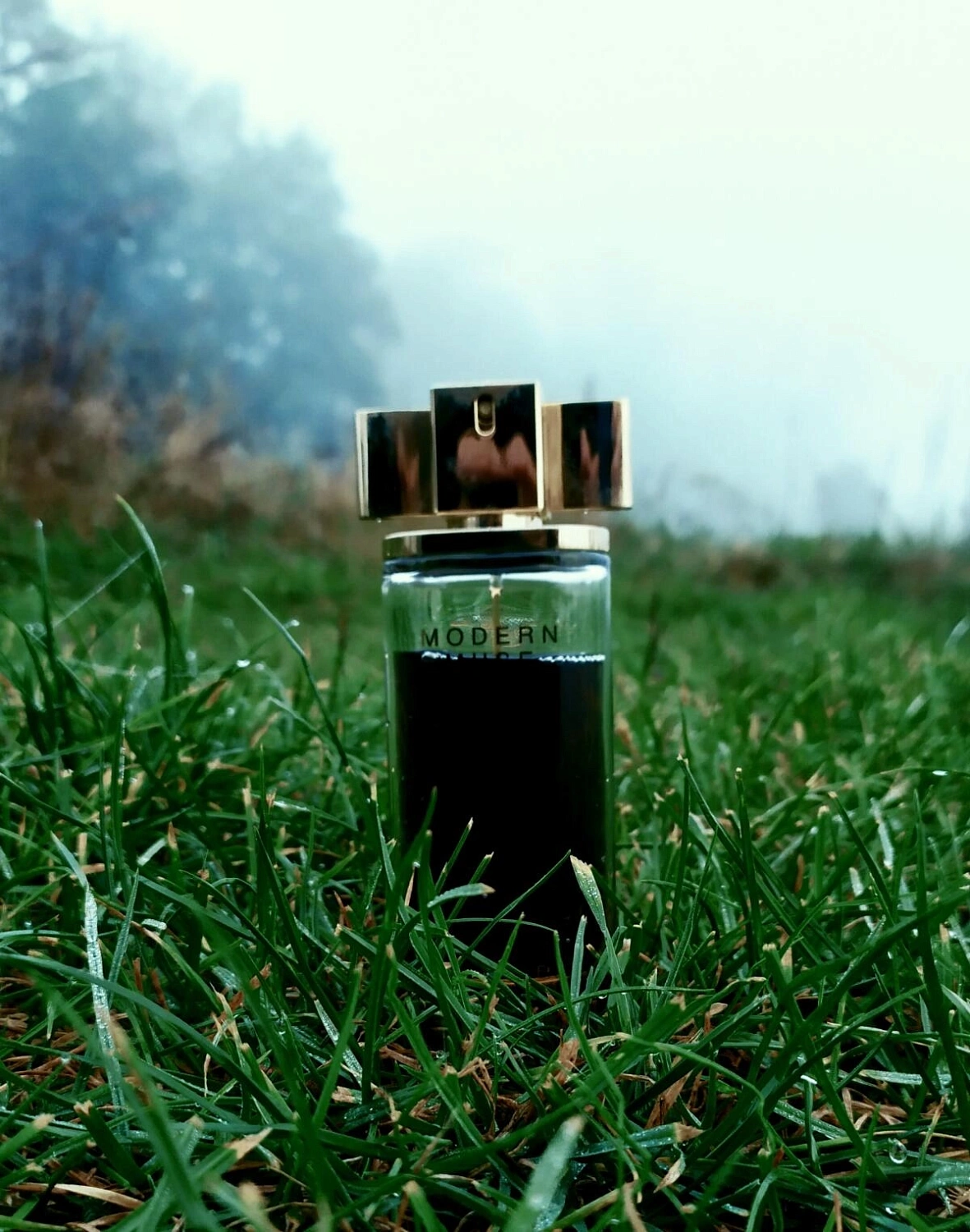 Estee Lauder Modern Muse Nuit