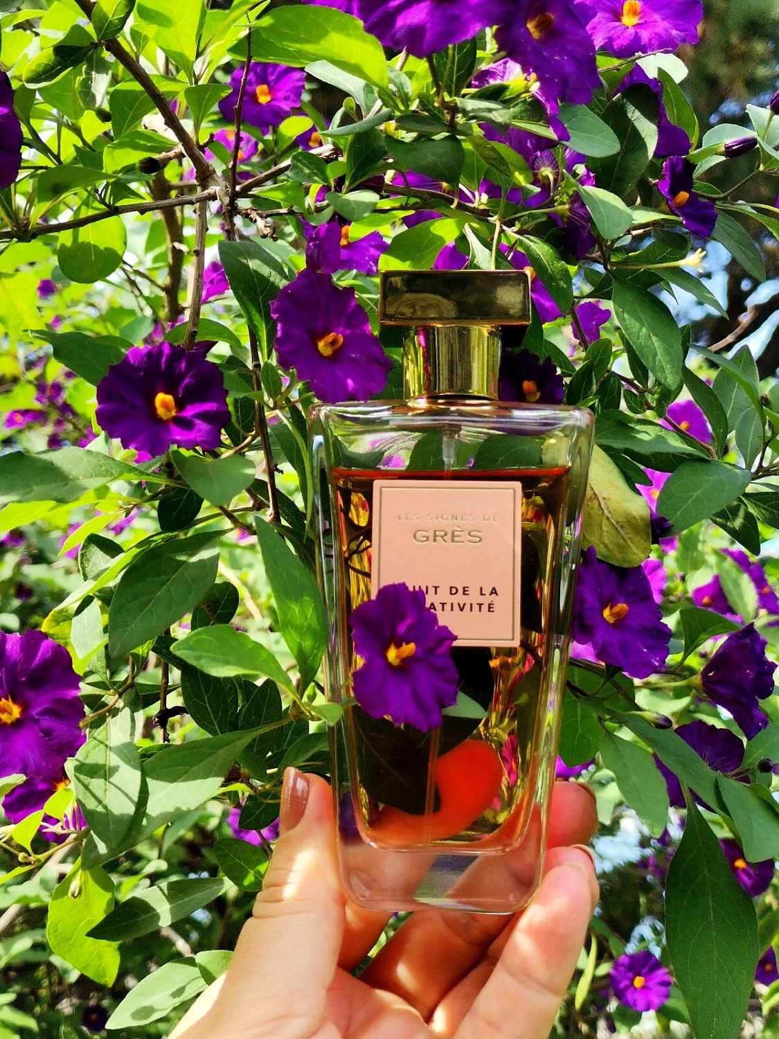 Gres Fruit de La Creativite