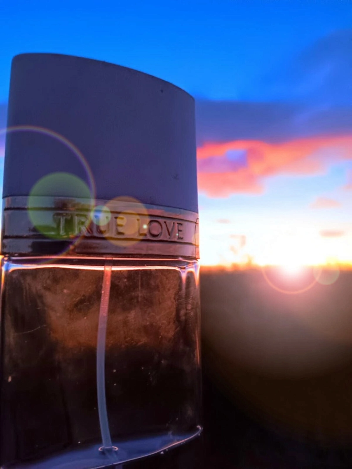 Elizabeth Arden True Love