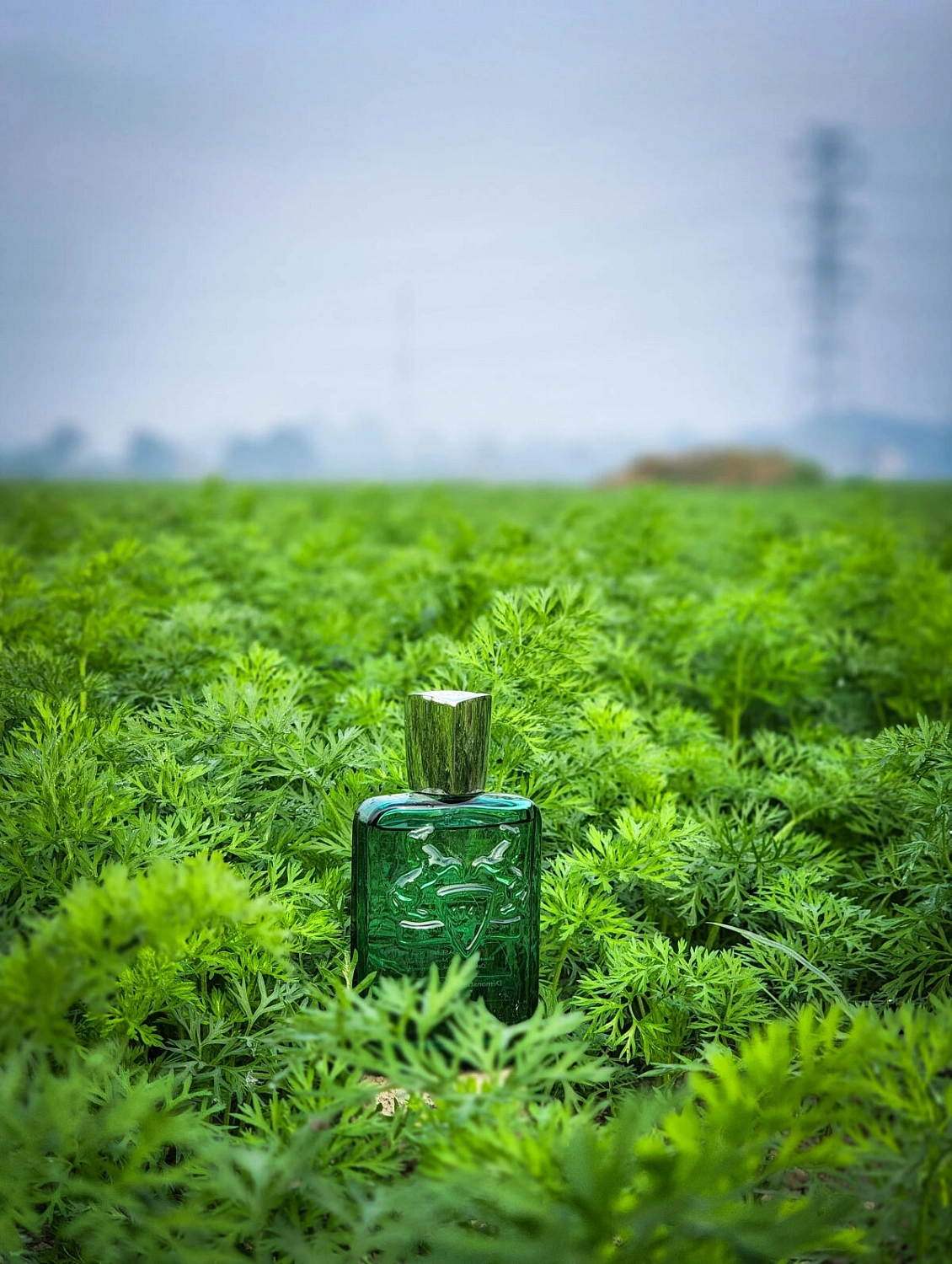 Parfums de Marly Greenley