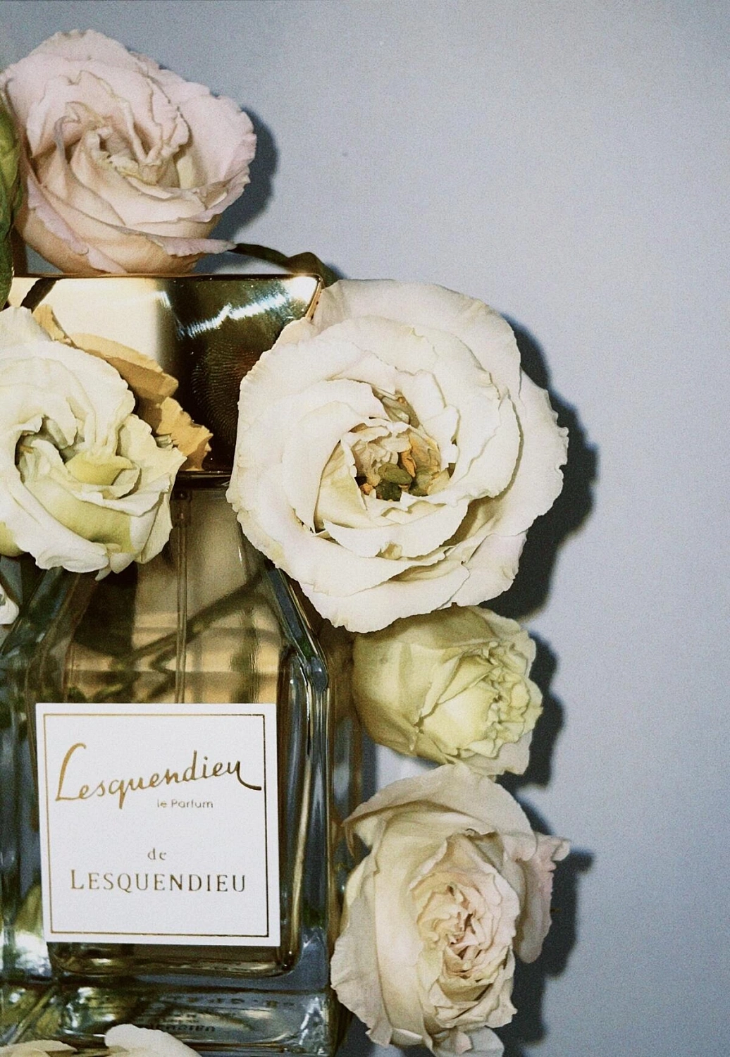 Lesquendieu Le Parfum