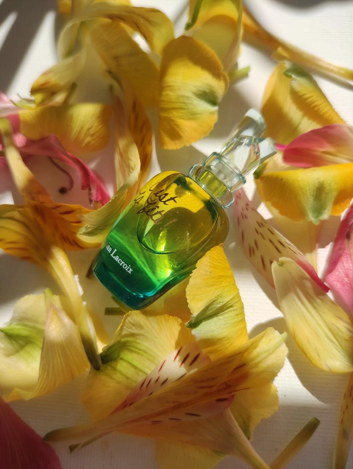 Christian Lacroix C`est La Fete