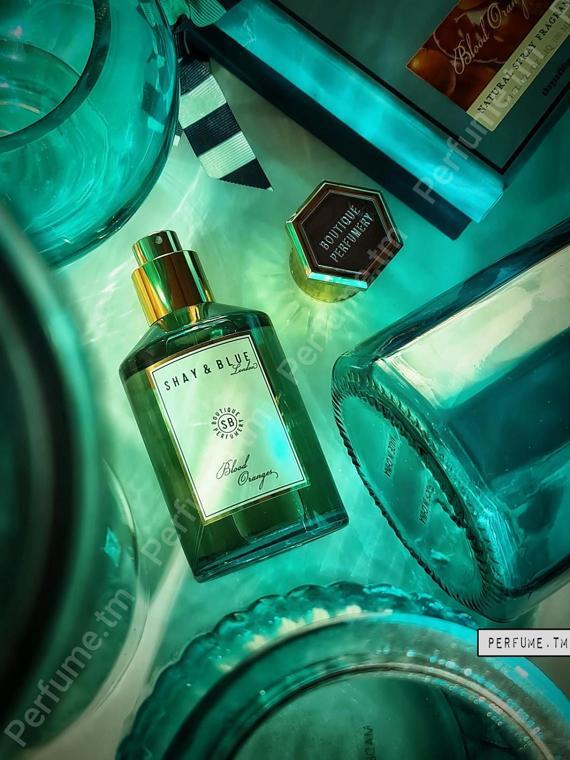 Shay & Blue London Blood Oranges