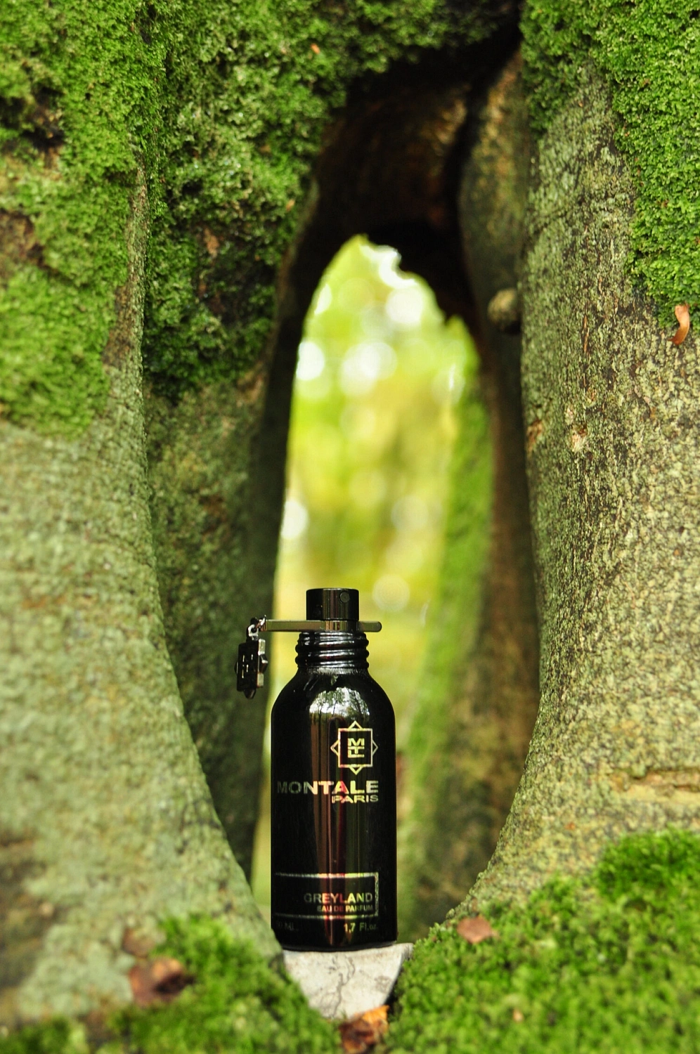 Montale Greyland