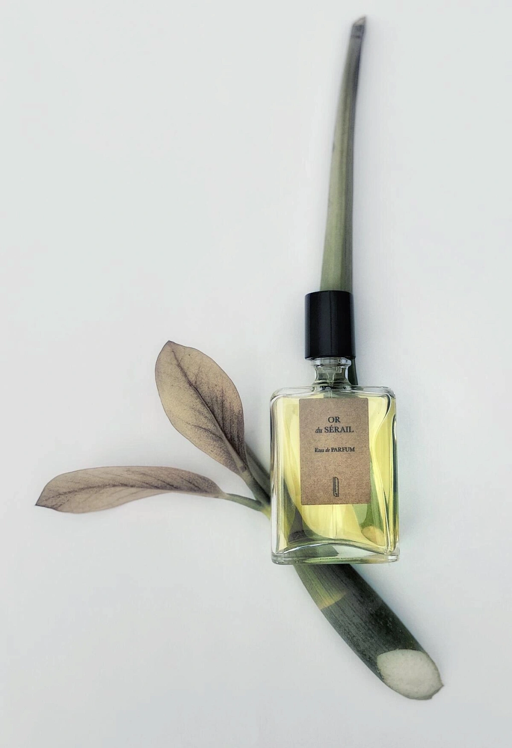 Naomi Goodsir Or du Serail