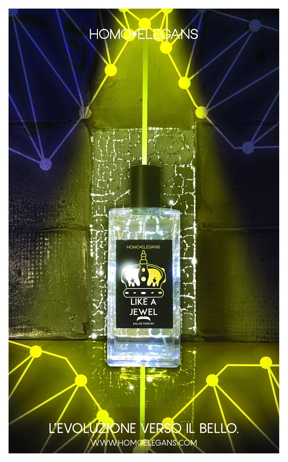 Homoelegans Like a Jewel