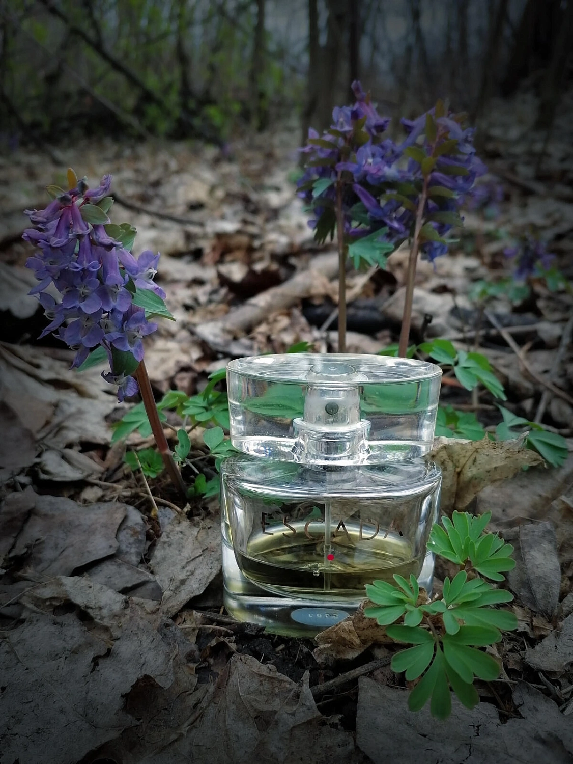 Escada (Signature Crystal)