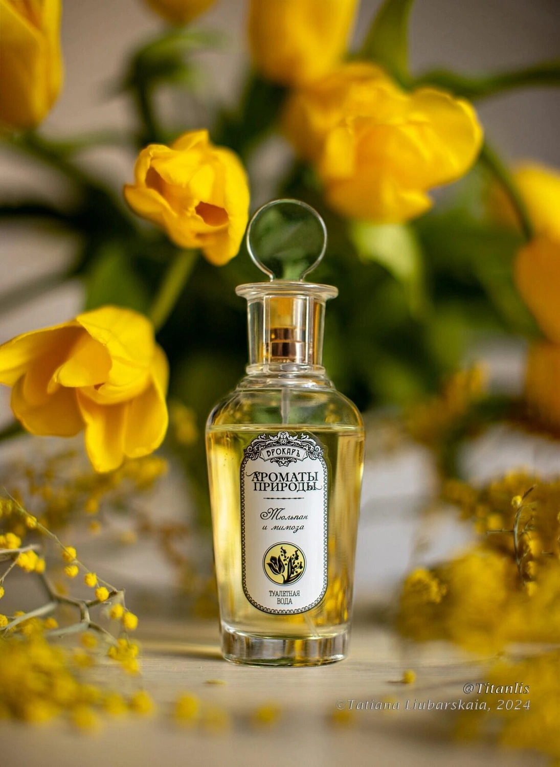 Brocard Тюльпан и Мимоза