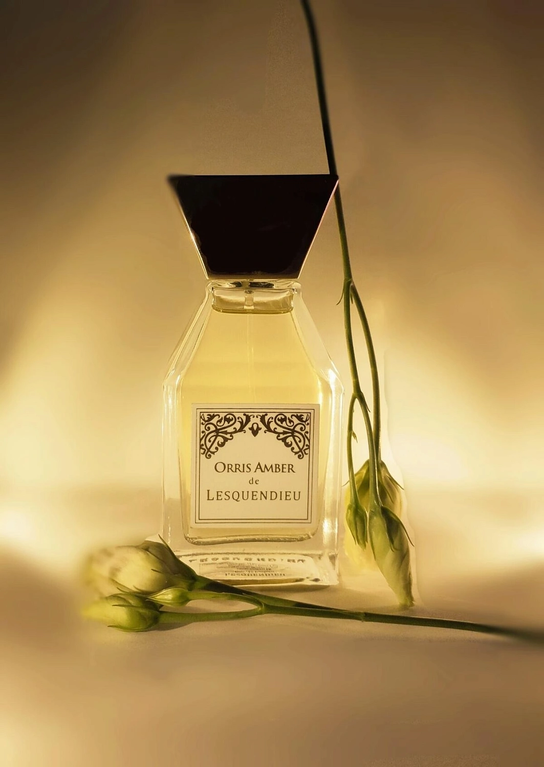 Lesquendieu Orris Amber