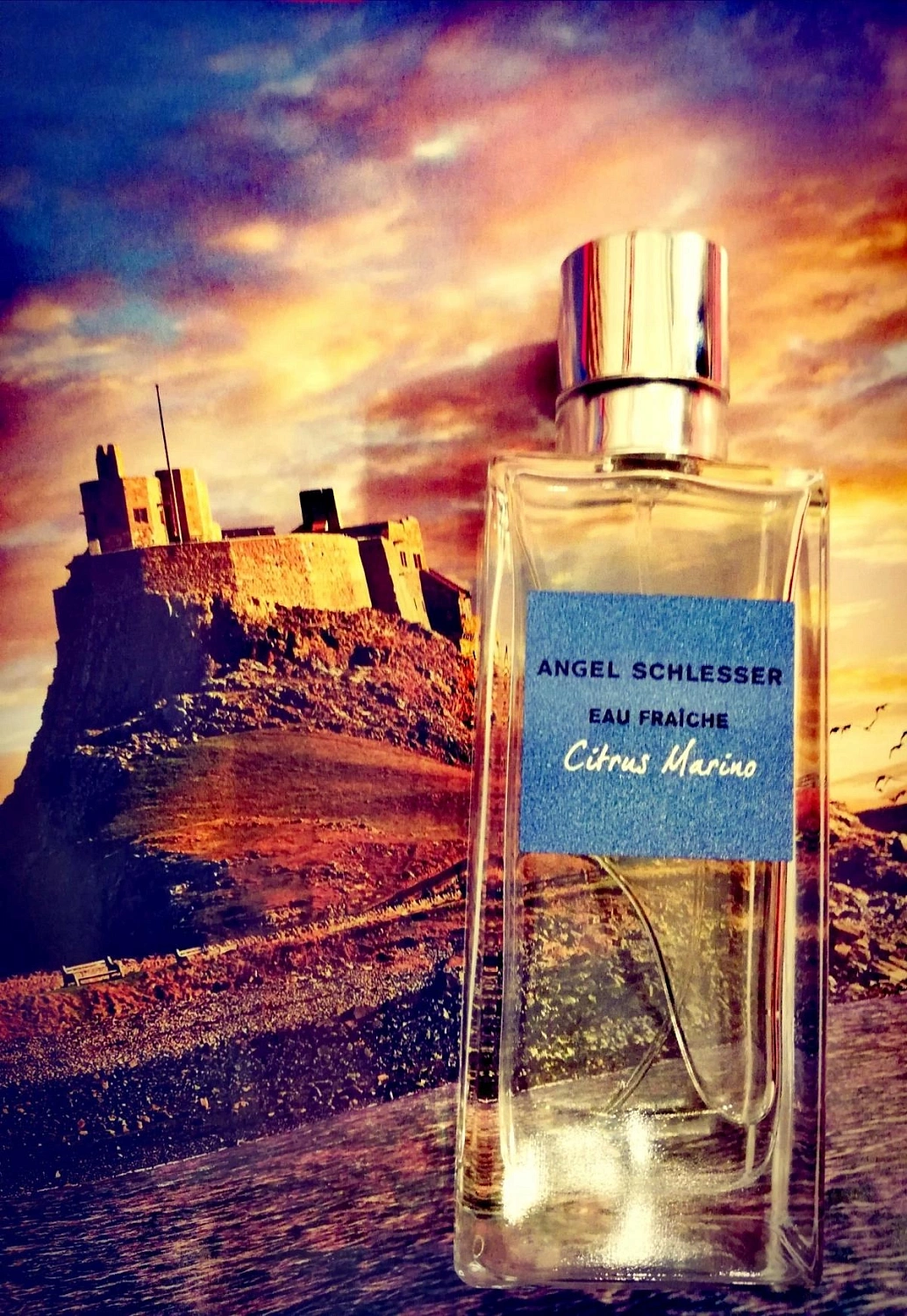 Angel Schlesser Eau Fraiche Citrus Marino Angel Schlesser Eau Fraiche Citrus Marino
