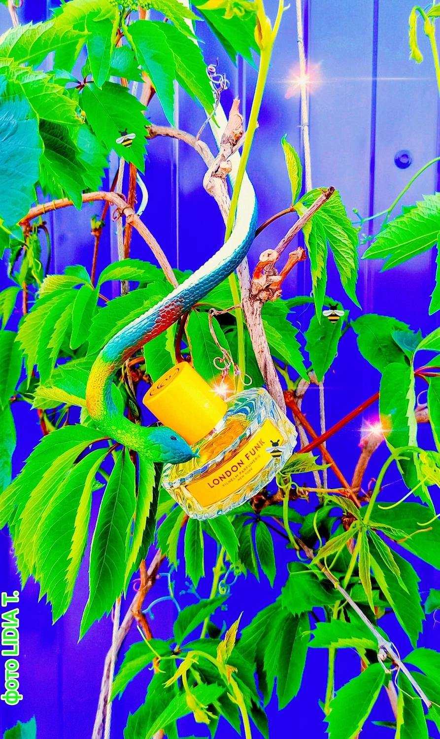 Vilhelm Parfumerie London Funk