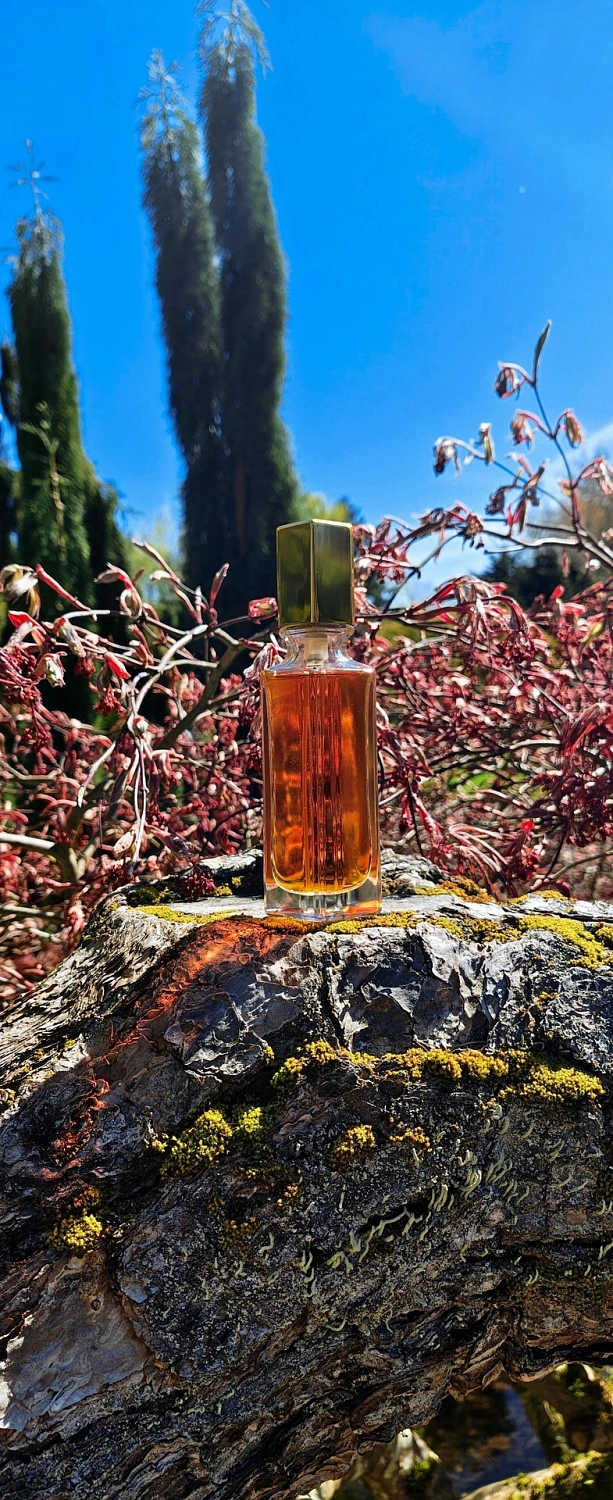 Giorgio Beverly Hills Red