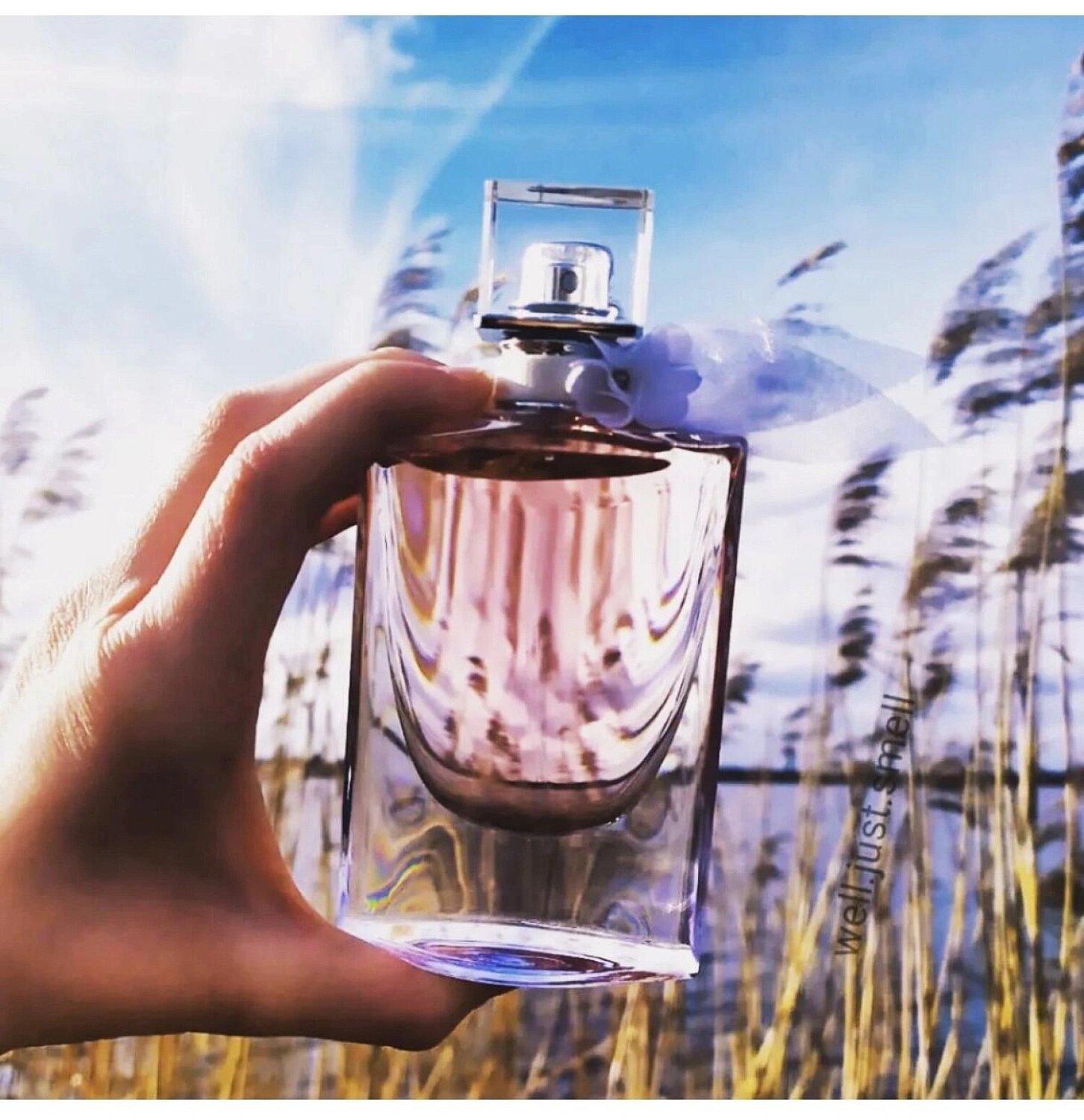 Lancôme La Vie Est Belle L'Eau de Toilette Florale