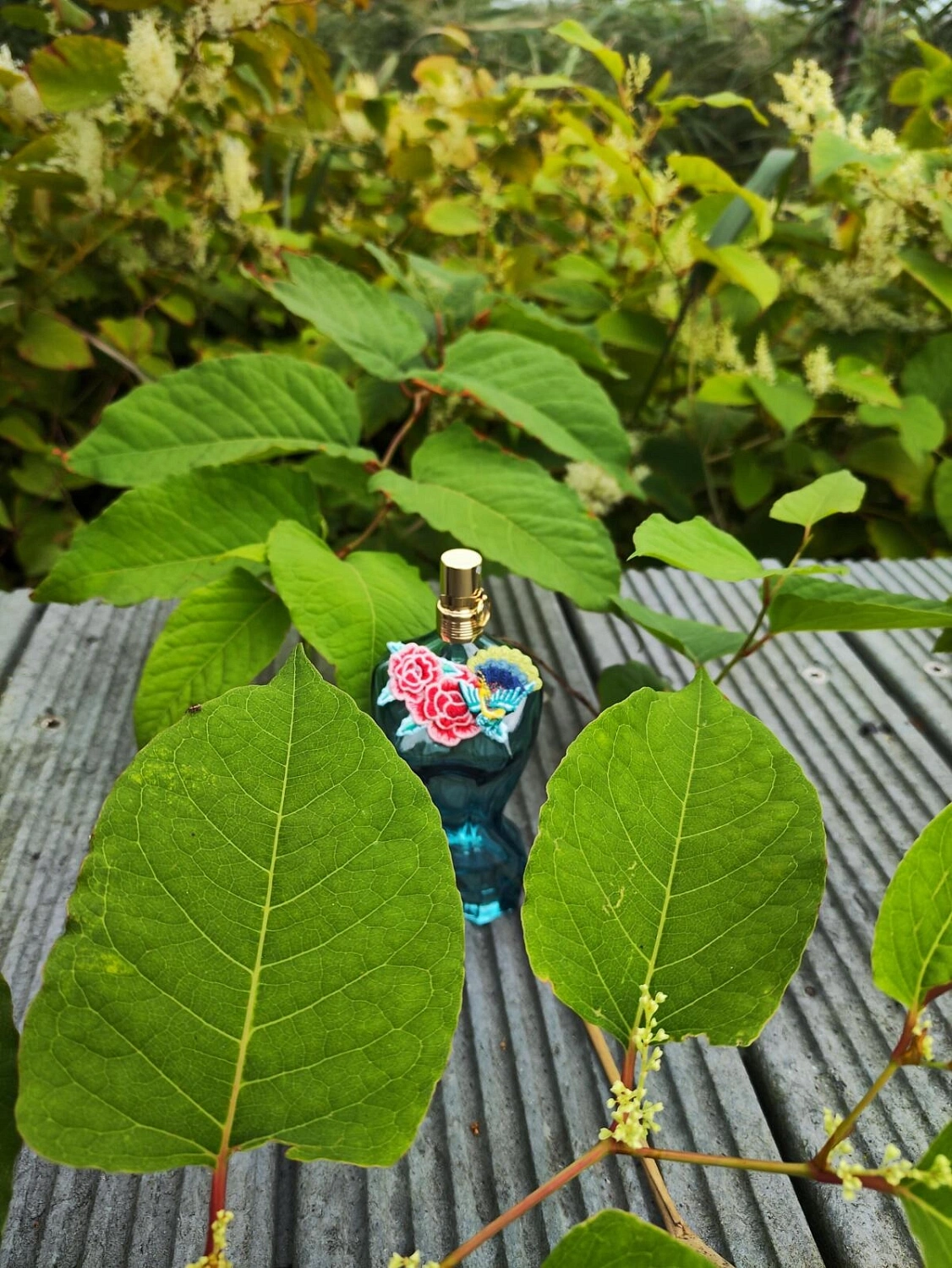 Jean Paul Gaultier La Belle Paradise Garden