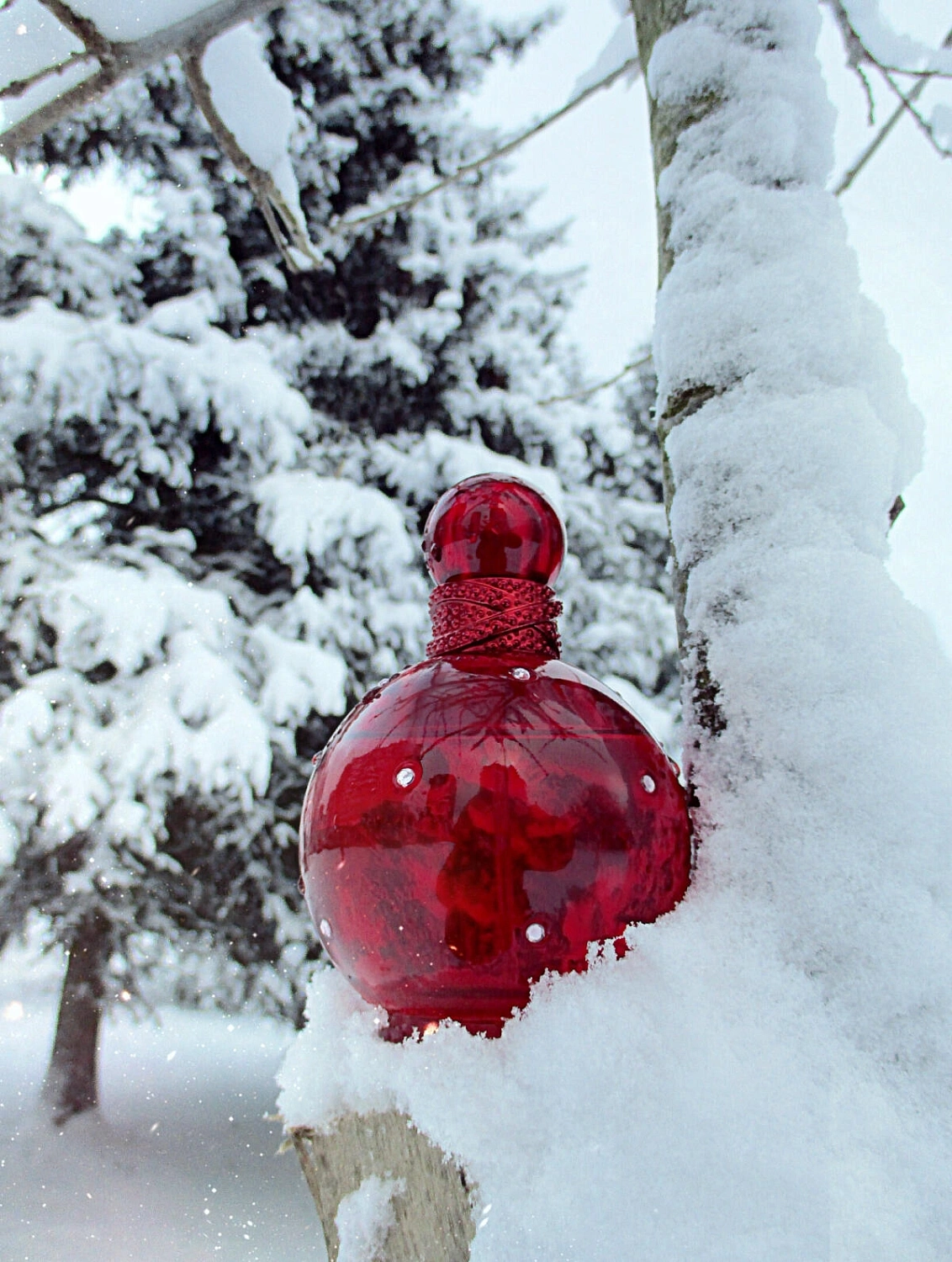 Britney Spears Hidden Fantasy