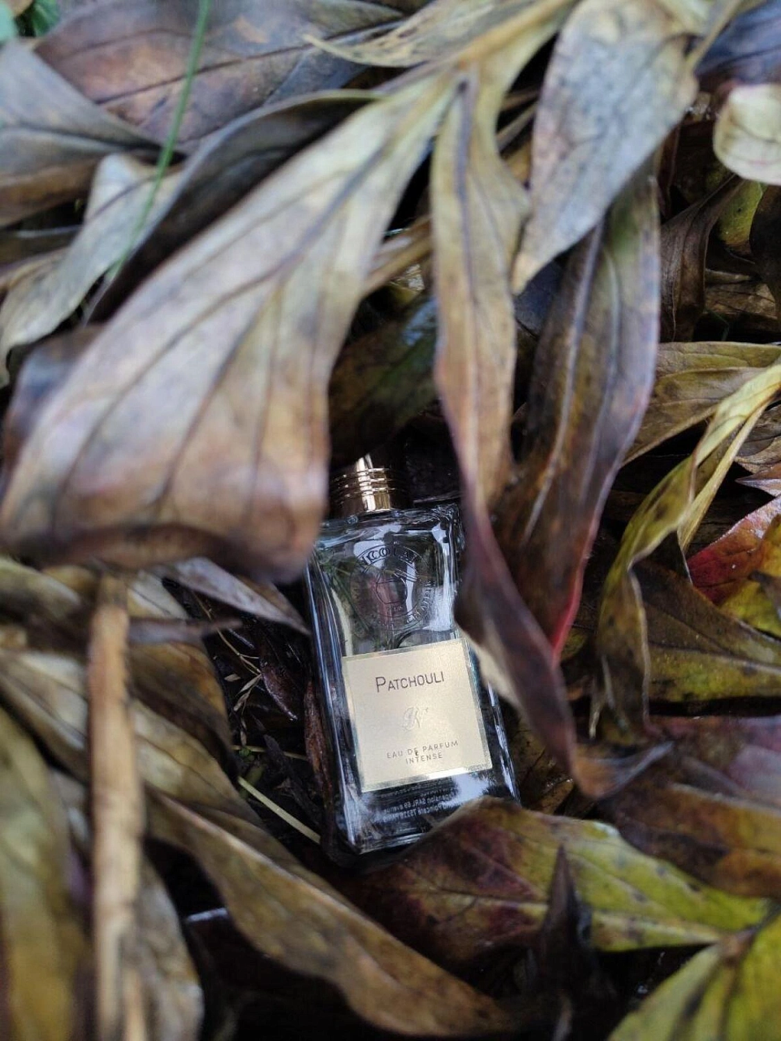 NICOLAI Patchouli Intense