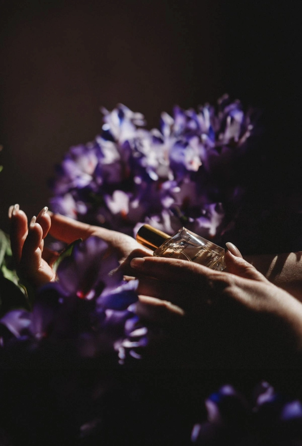 Strangelove NYC Melt My Heart