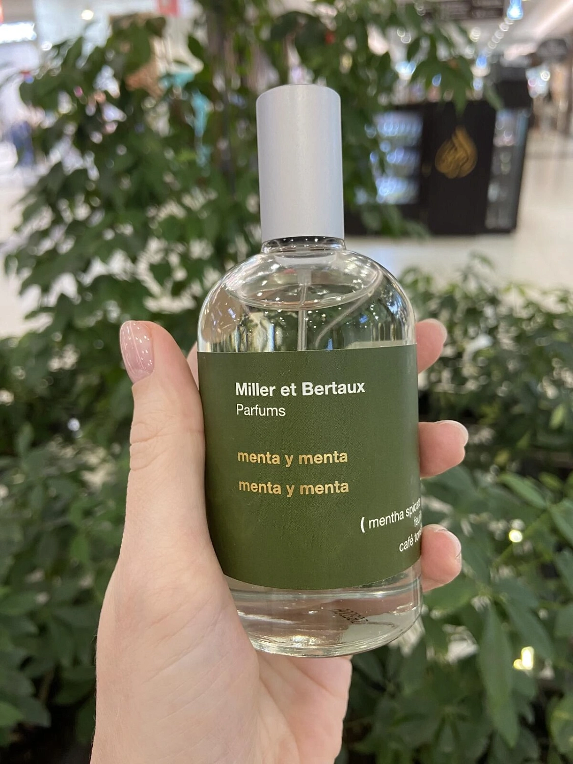 Miller et Bertaux Menta y Menta Miller et Bertaux Menta y Menta