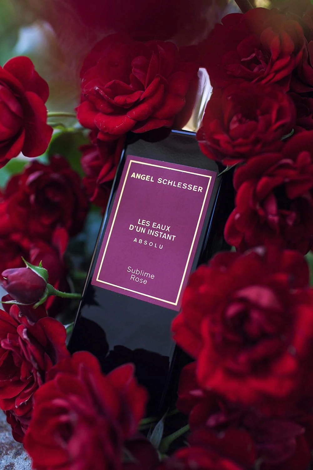 Angel Schlesser Sublime Rose Angel Schlesser Sublime Rose
