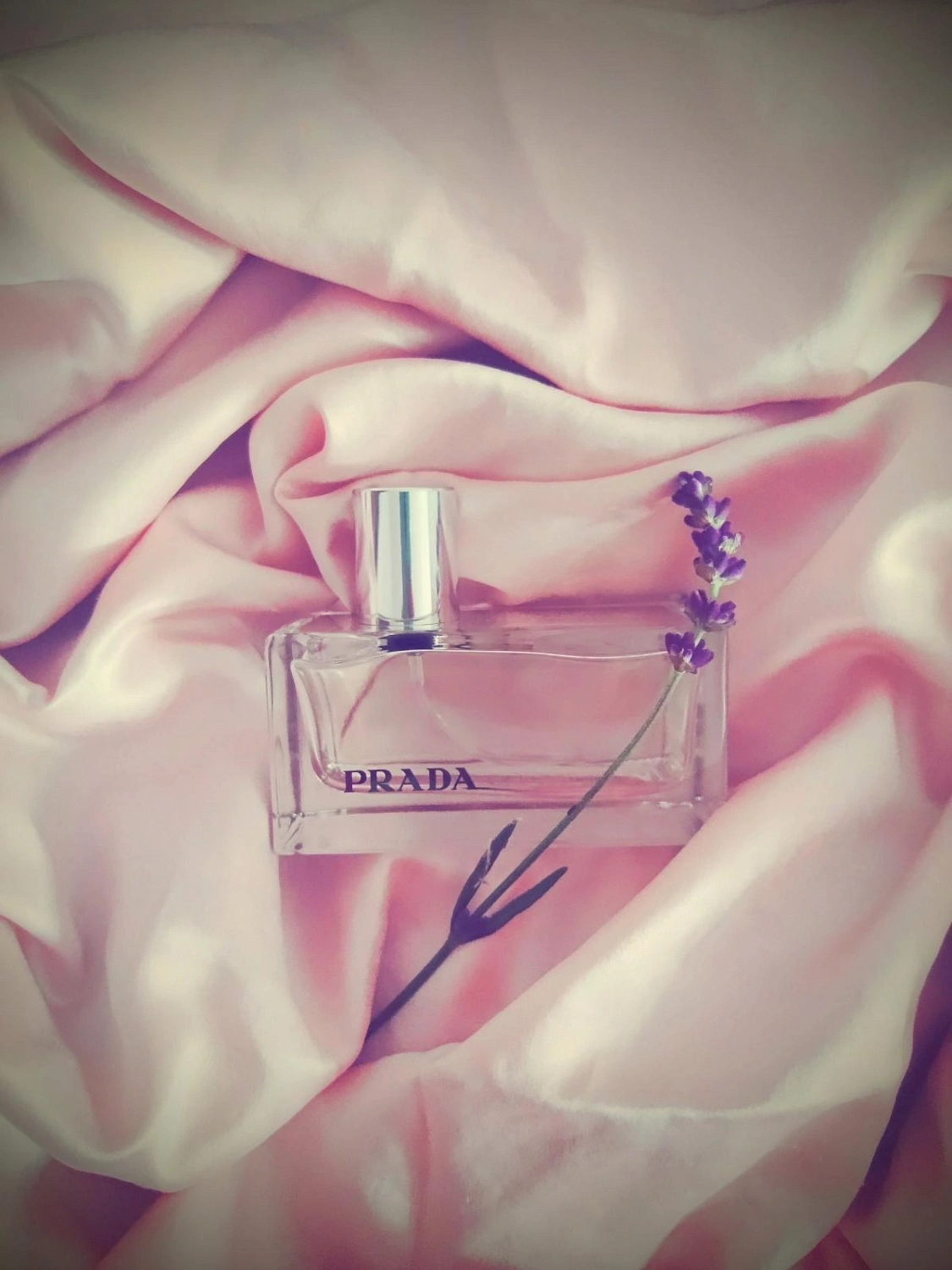Prada Tendre