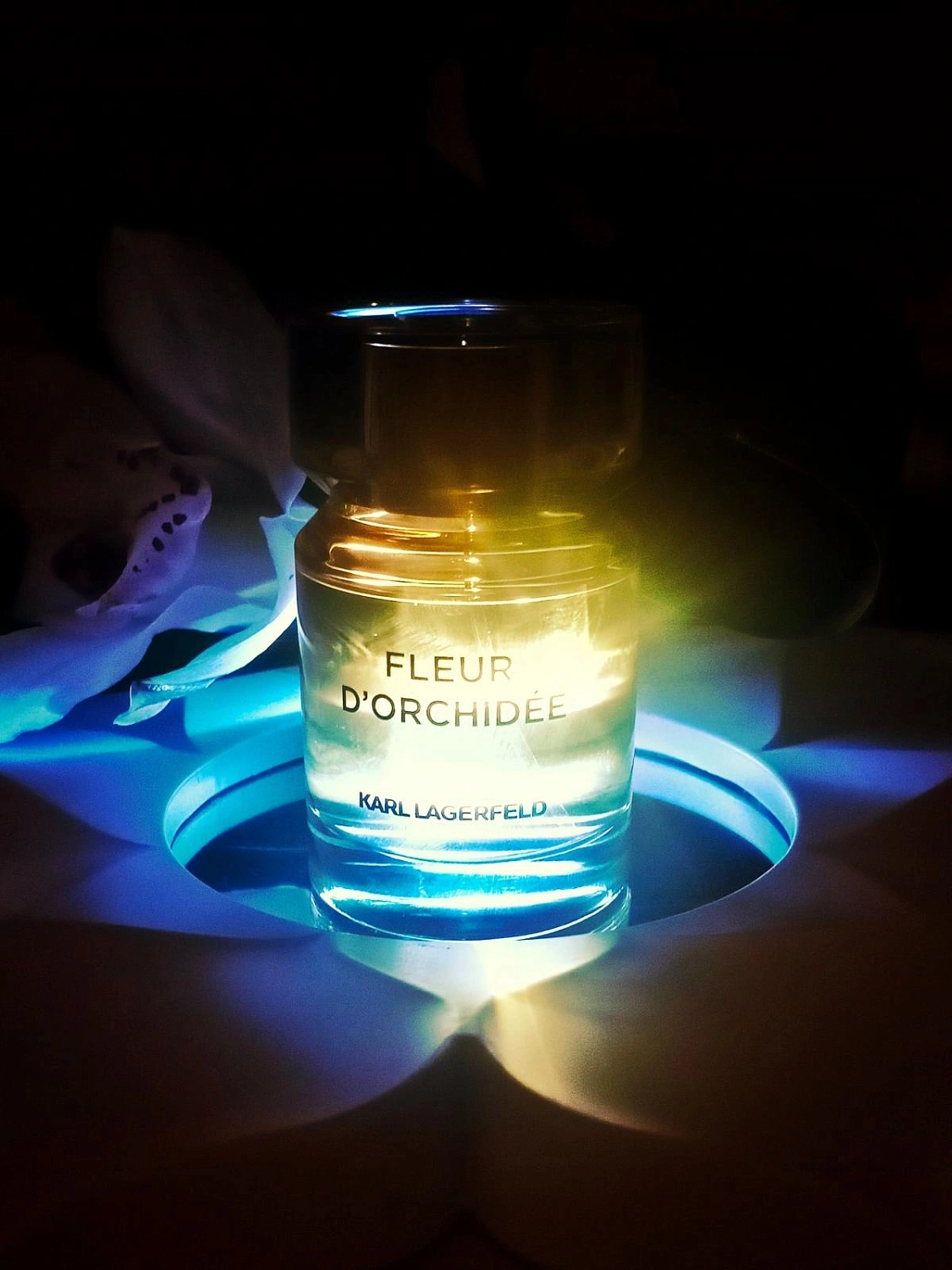 Karl Lagerfeld Fleur d'Orchidee