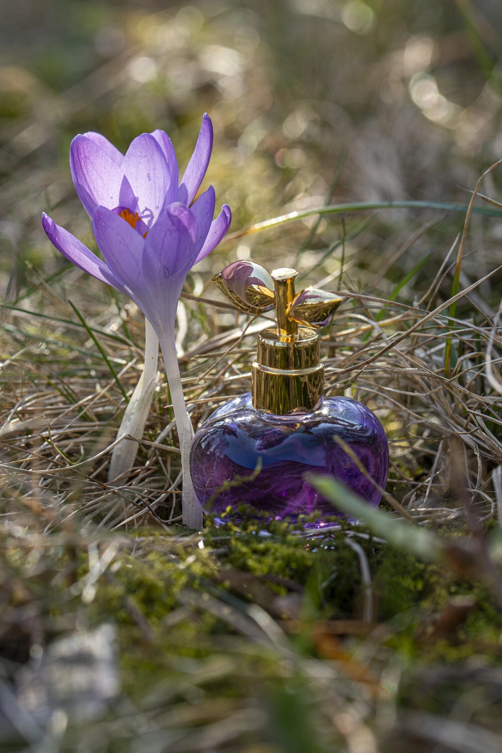 Nina Ricci Luna Blossom